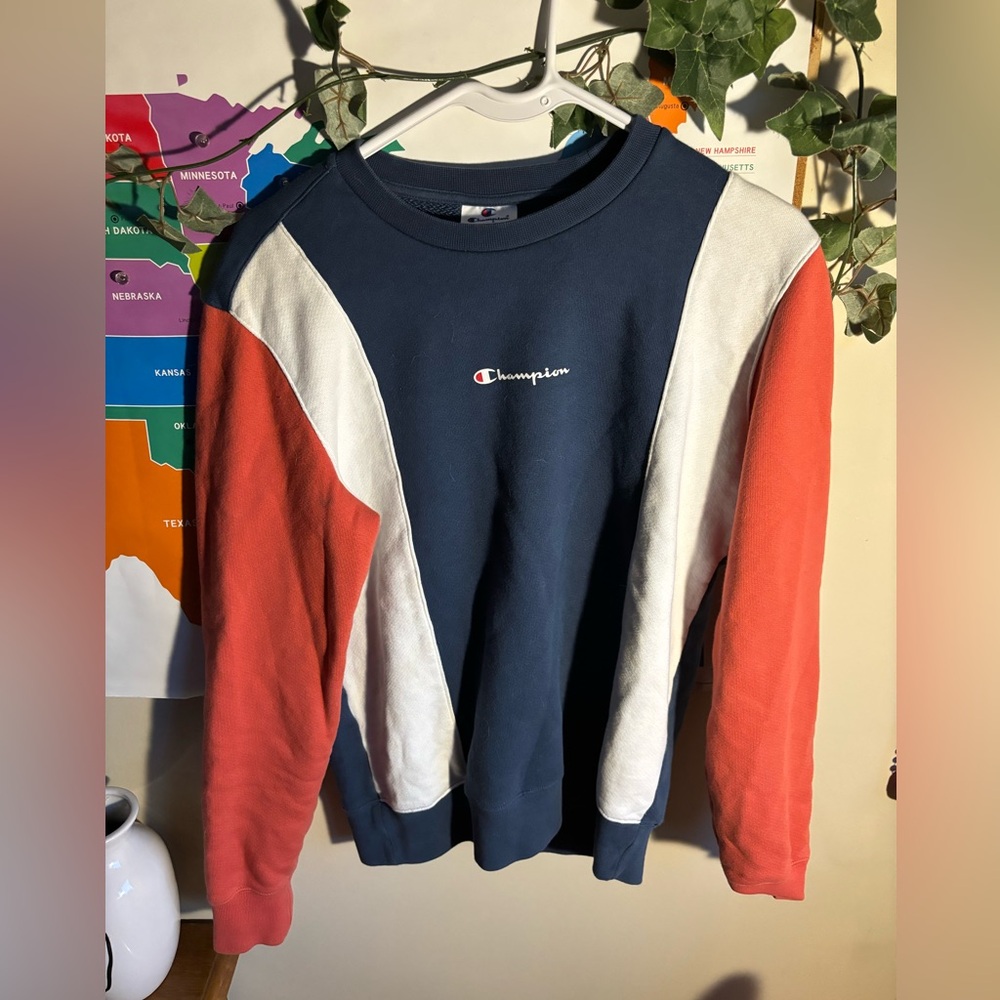 Multi colored champion sweater